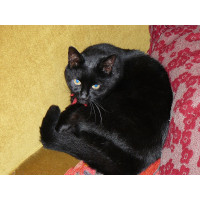 Box Inside a Slightly Larger Box Box Inside a Slightly Larger Box