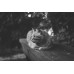 Floor Kibble, Pre Scattered